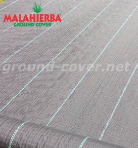 cover MALAHIERBA
